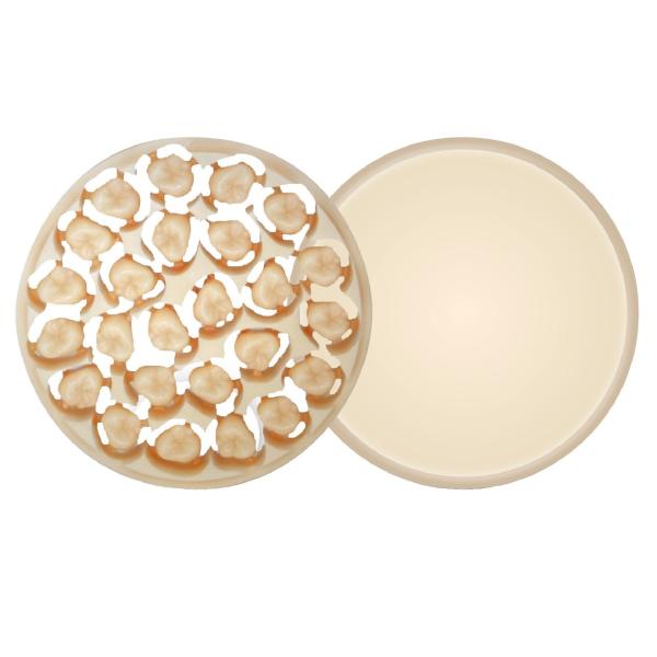 Náhľad obrázka artikla