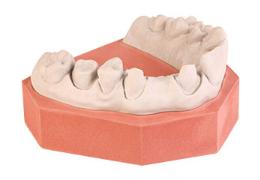 Náhľad obrázka artikla