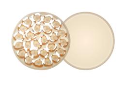 Náhľad obrázka artikla