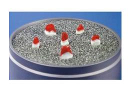 Náhľad obrázka artikla