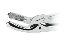 Náhľad obrázka artikla