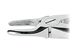 Náhľad obrázka artikla