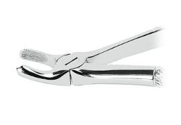 Náhľad obrázka artikla