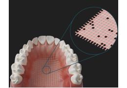 Náhľad obrázka artikla