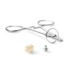 Náhľad obrázka artikla